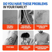 Fast Acting Anti-Mold Wall Cleaner Spray