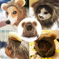 Pet Simulation Lion Mane