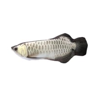 🐟Jouet de Simulation de Poisson pour Chat Charge USB🐟