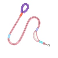 Dog reflective leash