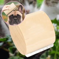 Cat Brush for Shedding