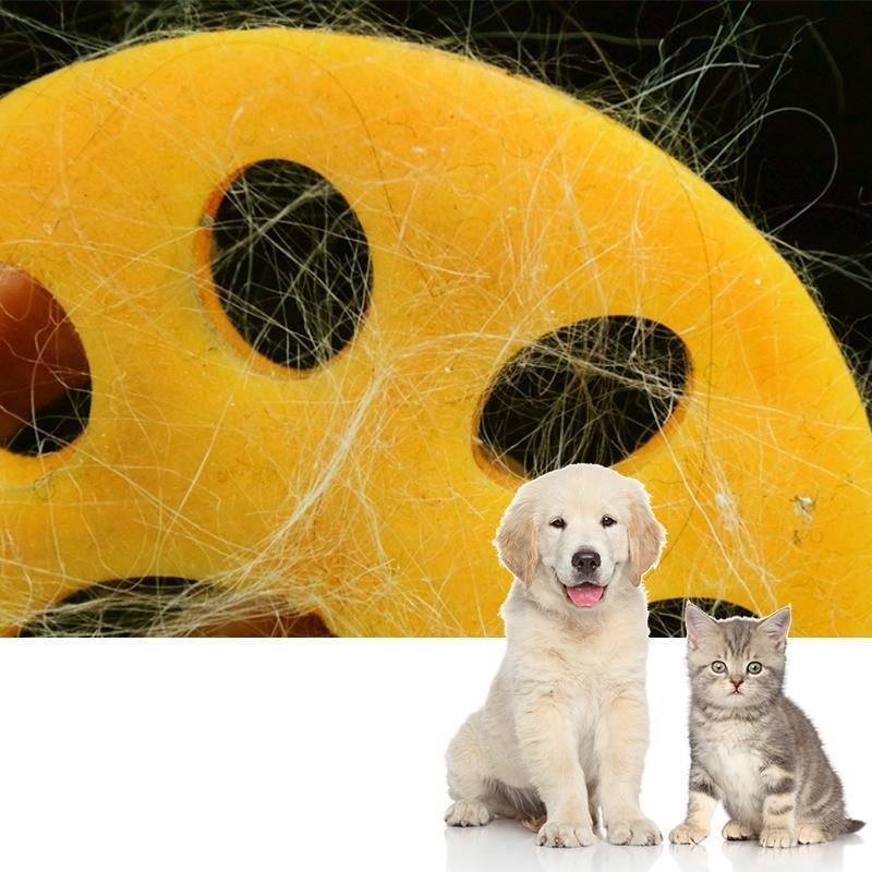 7_c8dd6e6d-5d70-4535-ac60-cbda76671f02