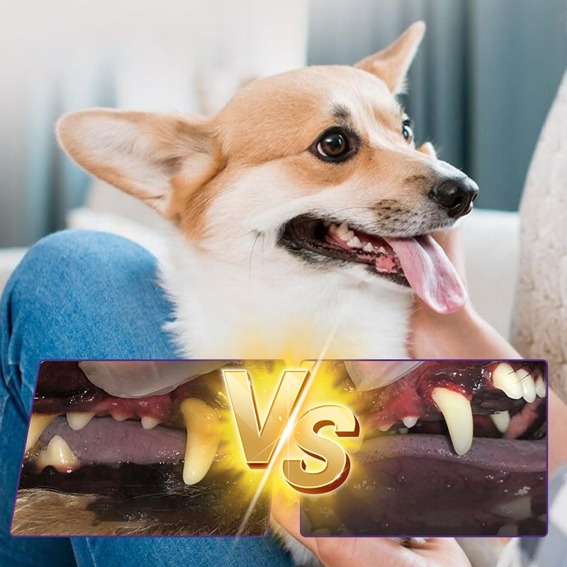 8_a070ac91-7e6f-41f9-831e-39e4a3f975d0