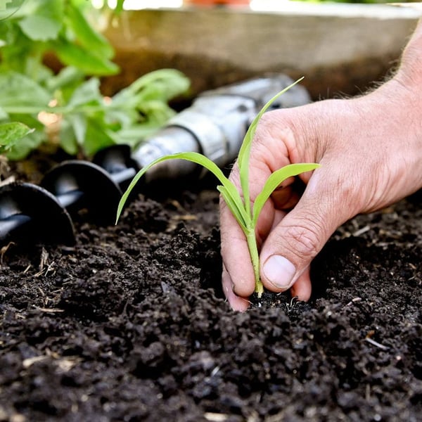 3e0510ce-3721-45e6-0fd7-f9e5f6de4000