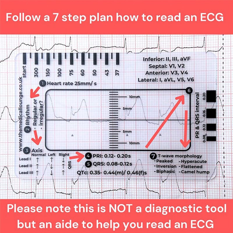9fd2bf52-bfff-48a1-f6b9-f24c496bdc00