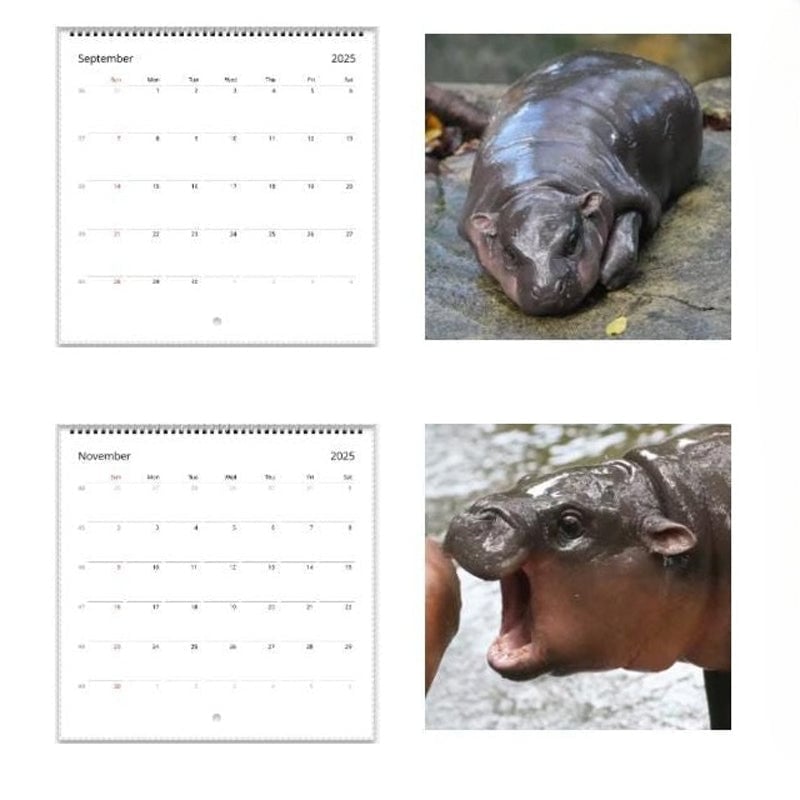 Moo Deng Kalender | Kalender 2025-1