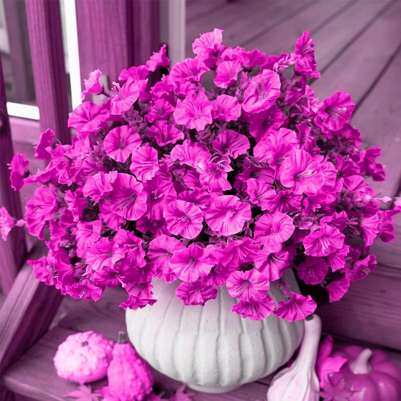 1_8_4f4620fd-0b7b-487d-ae3e-995481fb0f79