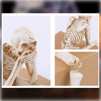 Creative Skeleton Skull Decor