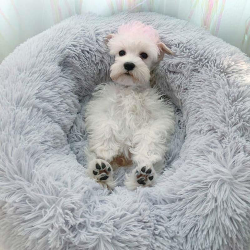 Cozy Rund Husdjursbädd