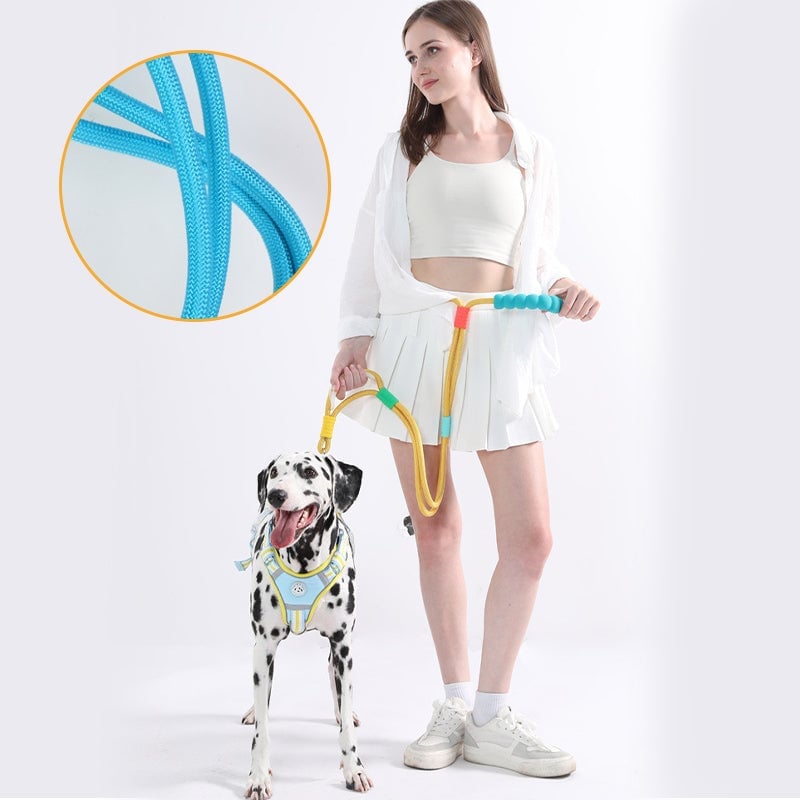 Dog reflective leash