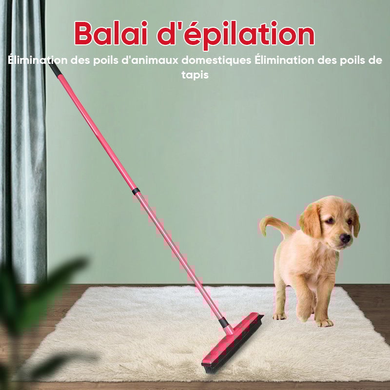 Balai d'élimination des poils d'animaux