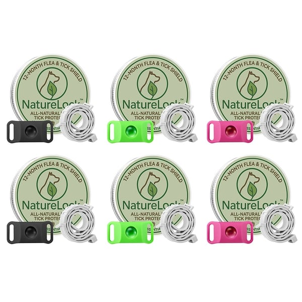 12 Months Flea and Tick Free