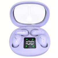 Dual Bluetooth Wireless Earbuds