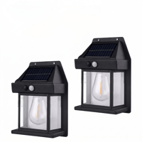 Solar Tungsten Wall Light