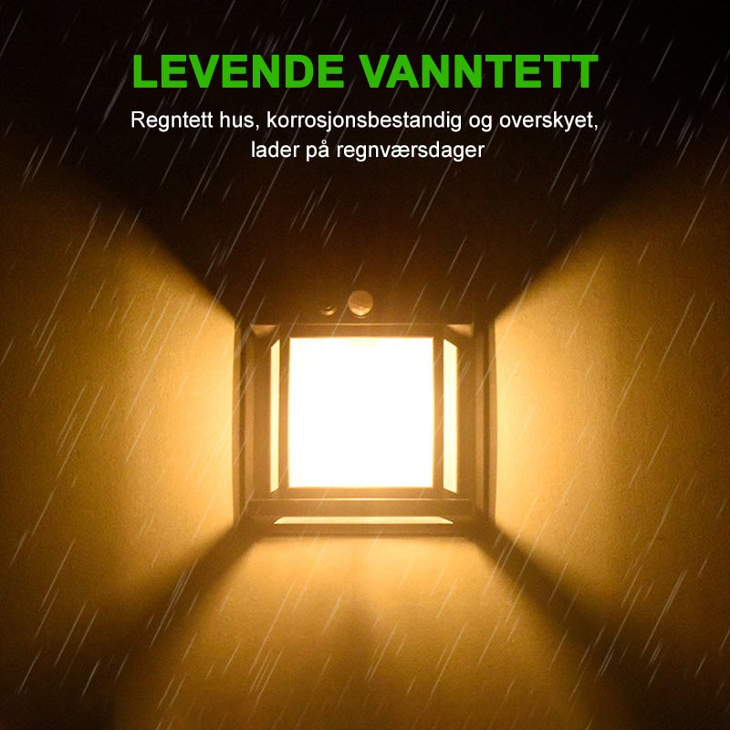 5_82c95f76-67fa-4d2a-b5f2-82b827bd02ba