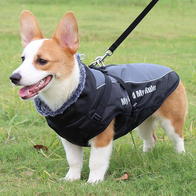 Pet Reflective Insulated Jacket