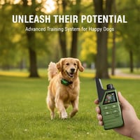 Kexon™ Waterproof Remote Dog Training Collar