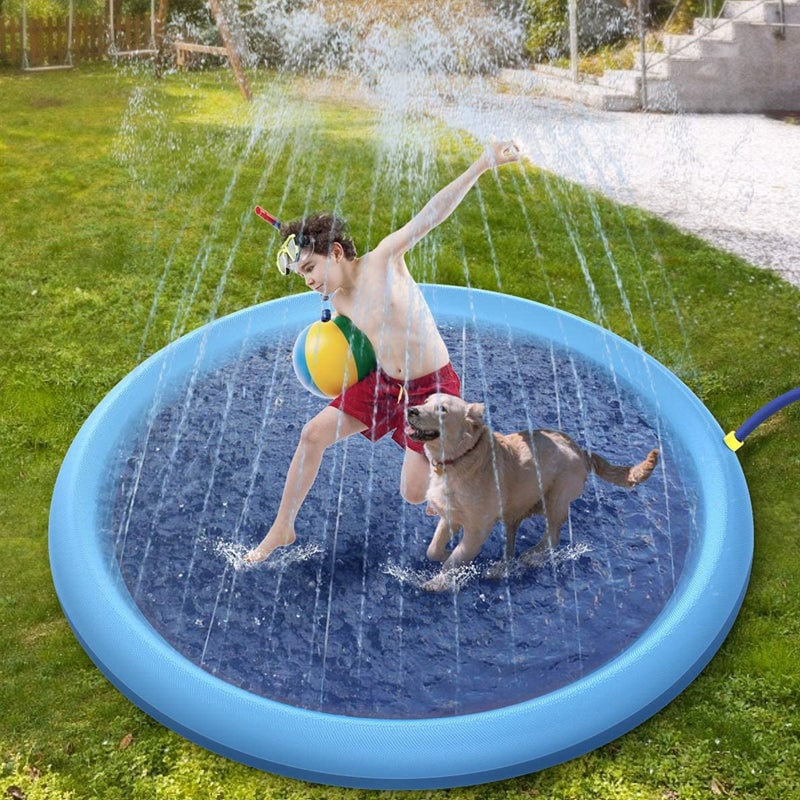 🐶Tanzschwimmbad für Hunde & Familie🐱