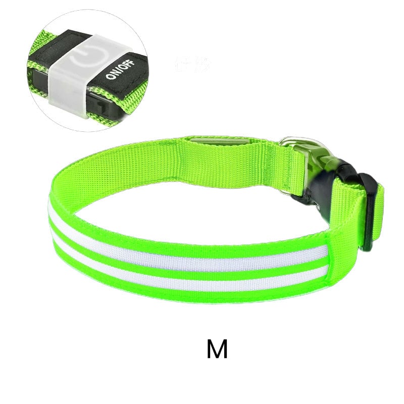 Dual Fiber Nighttime Luminous Dog Collar