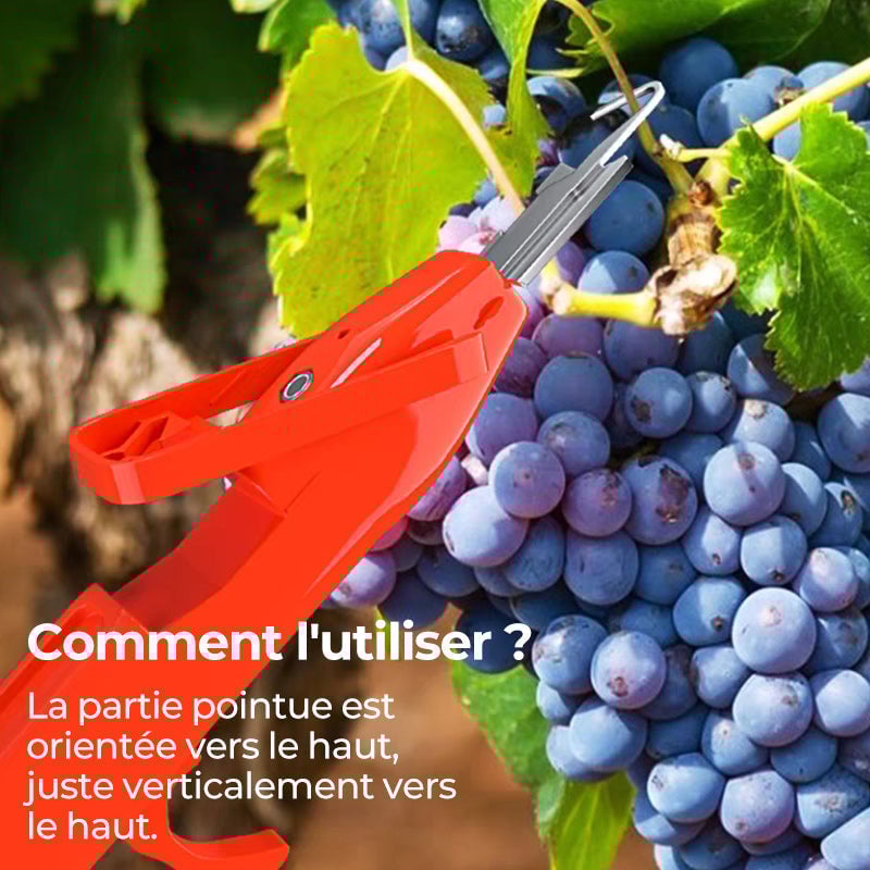 Outils efficaces de collecte de poivre