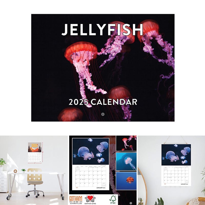 2025 Jellyfish Calendar