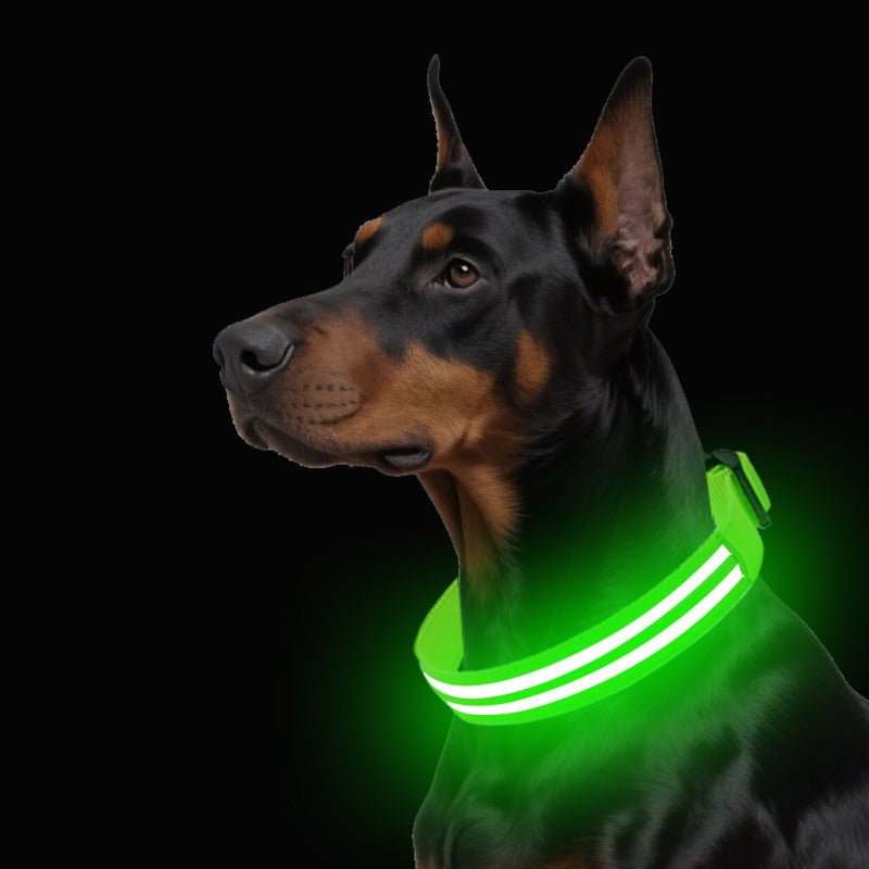 Dual Fiber Nighttime Luminous Dog Collar