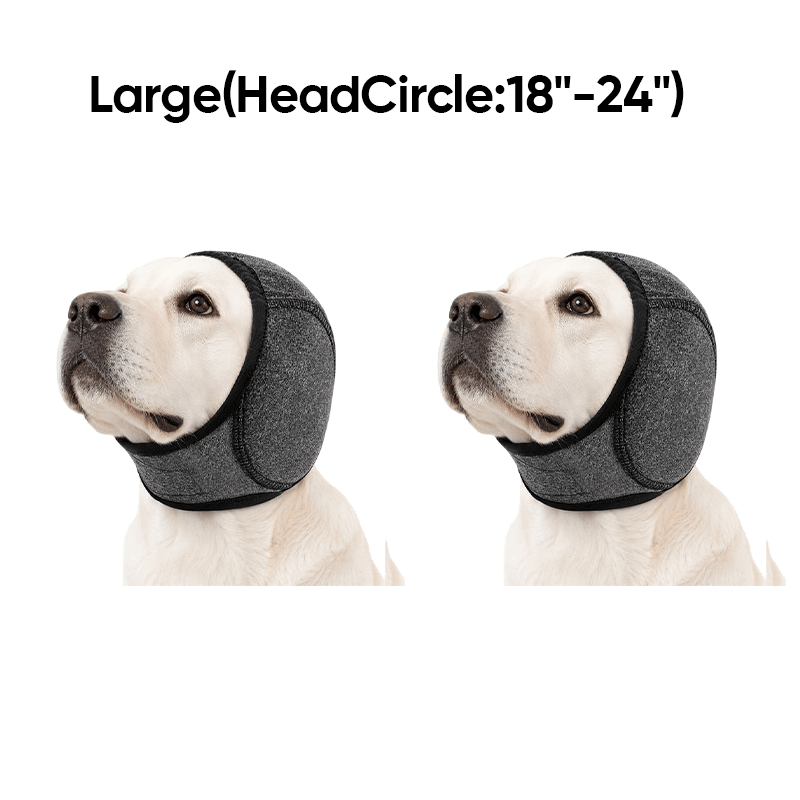 ecd63e76-1c92-4a50-b01e-a4fc26e4b000