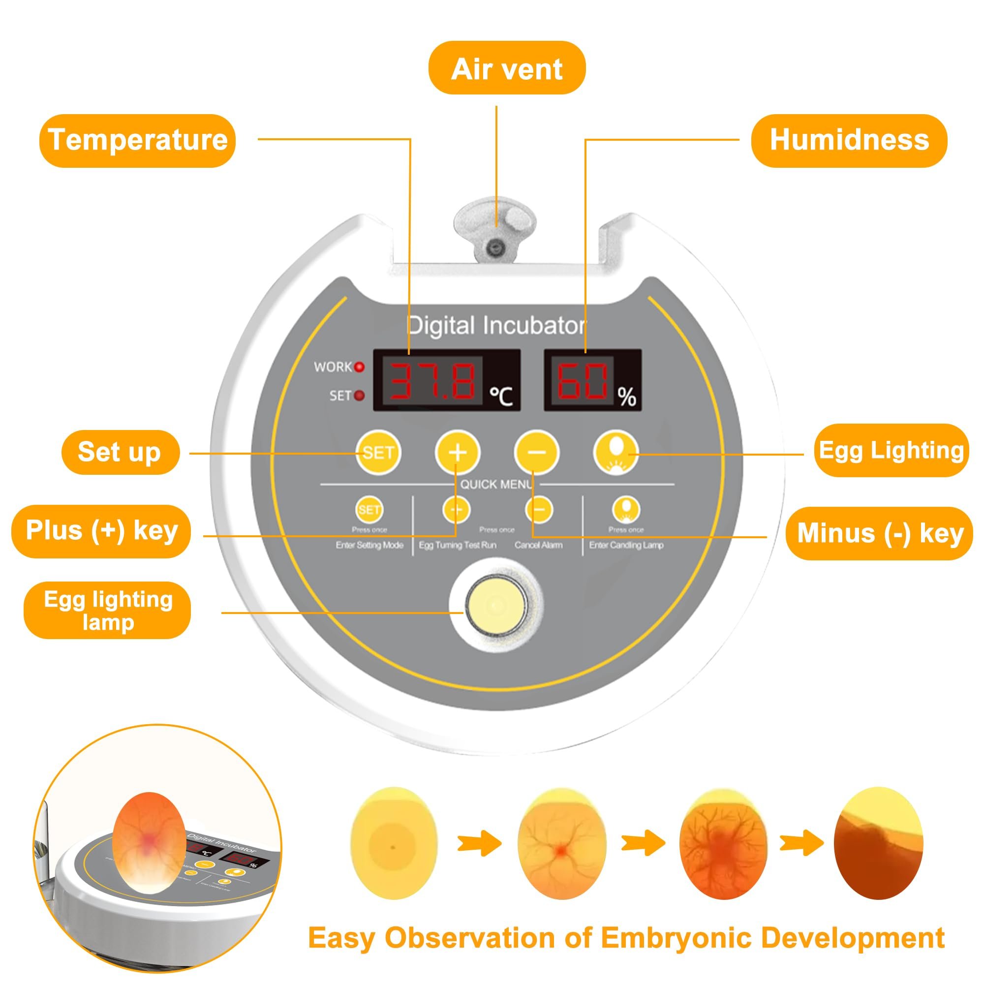 Egg Incubator