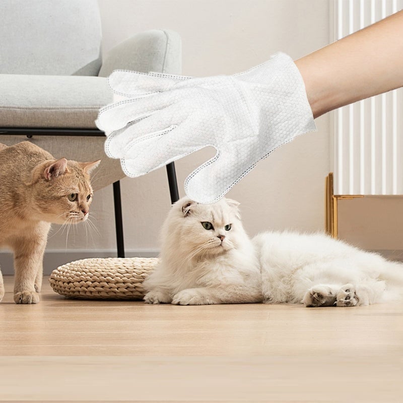 Pet Glove Wipes för Hundar & Katter