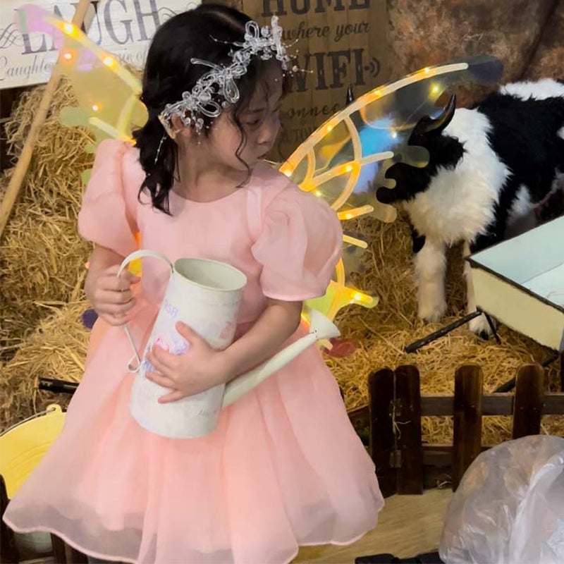 Elektrische Schmetterlingsflügel Kinder Spielzeuge für draußen