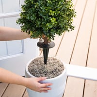 Artificial Cypress Tree