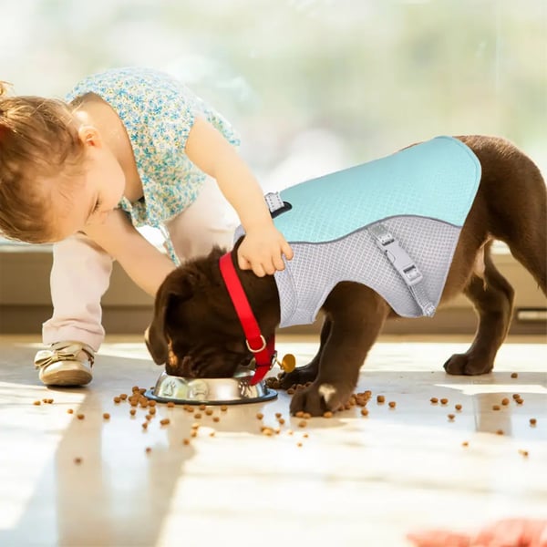 Gilet de refroidissement pour animaux de compagnie d'été
