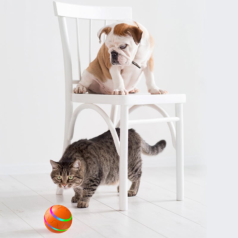 Pet Electric Smart Ball