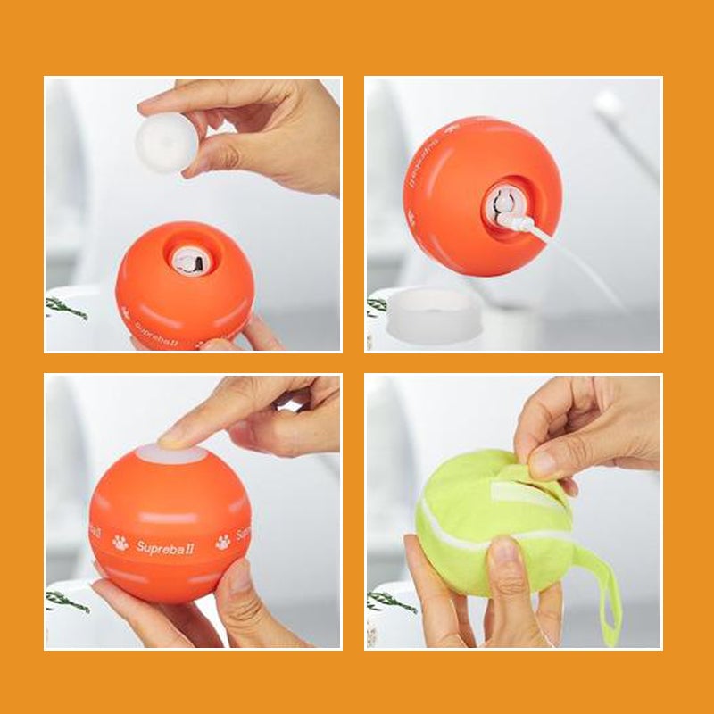 Pet Electric Smart Ball