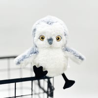 1_2_23695a7d-7d86-49e0-aa2f-a7c709ae4bb9