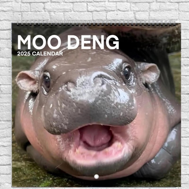 Moo Deng Kalender | Kalender 2025-1