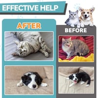 38c9d201-5550-4ee5-75eb-41a050c53100