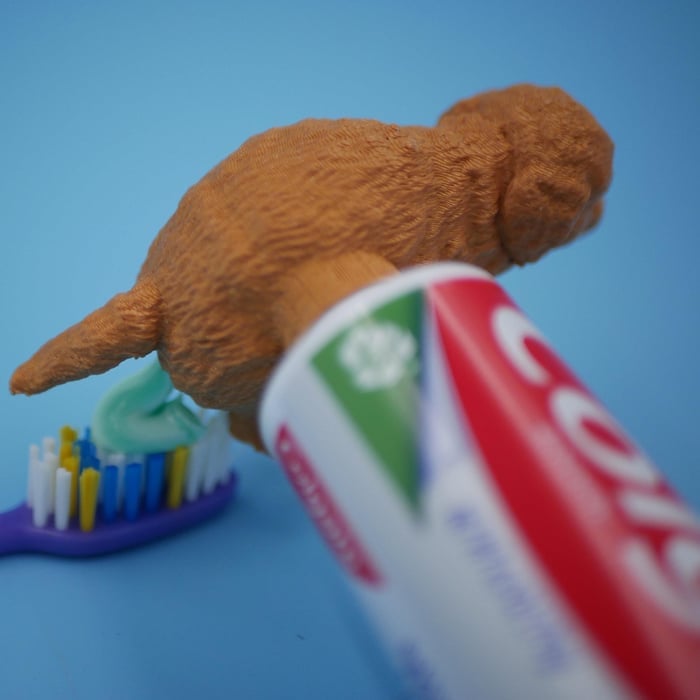 Lustiger Hund-Zahnpastadeckel in Kack-Form