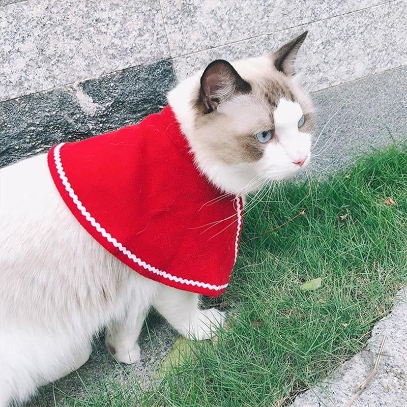 Christmas Pet Costumes