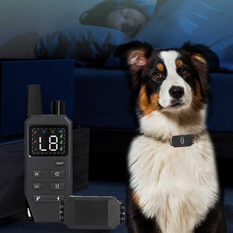 Dog Training Collar