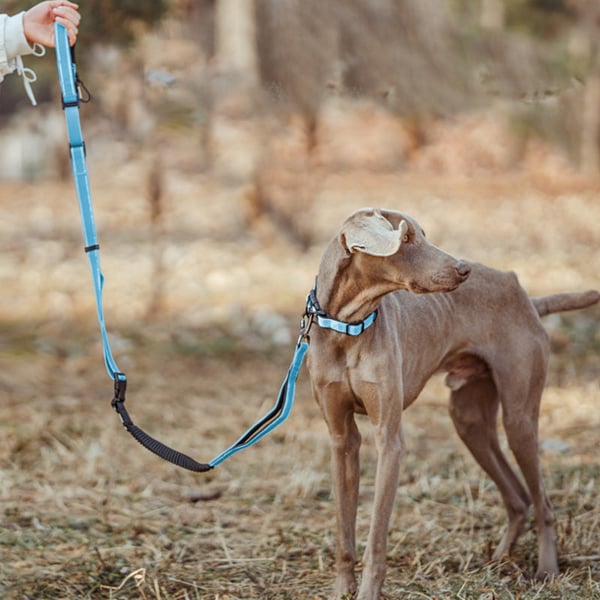 4_8bf71d2d-88da-4493-a450-c068a745670f