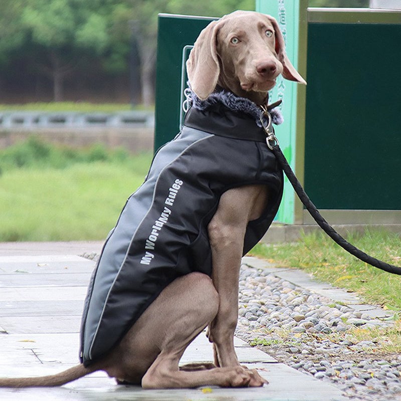 Pet Reflective Insulated Jacket