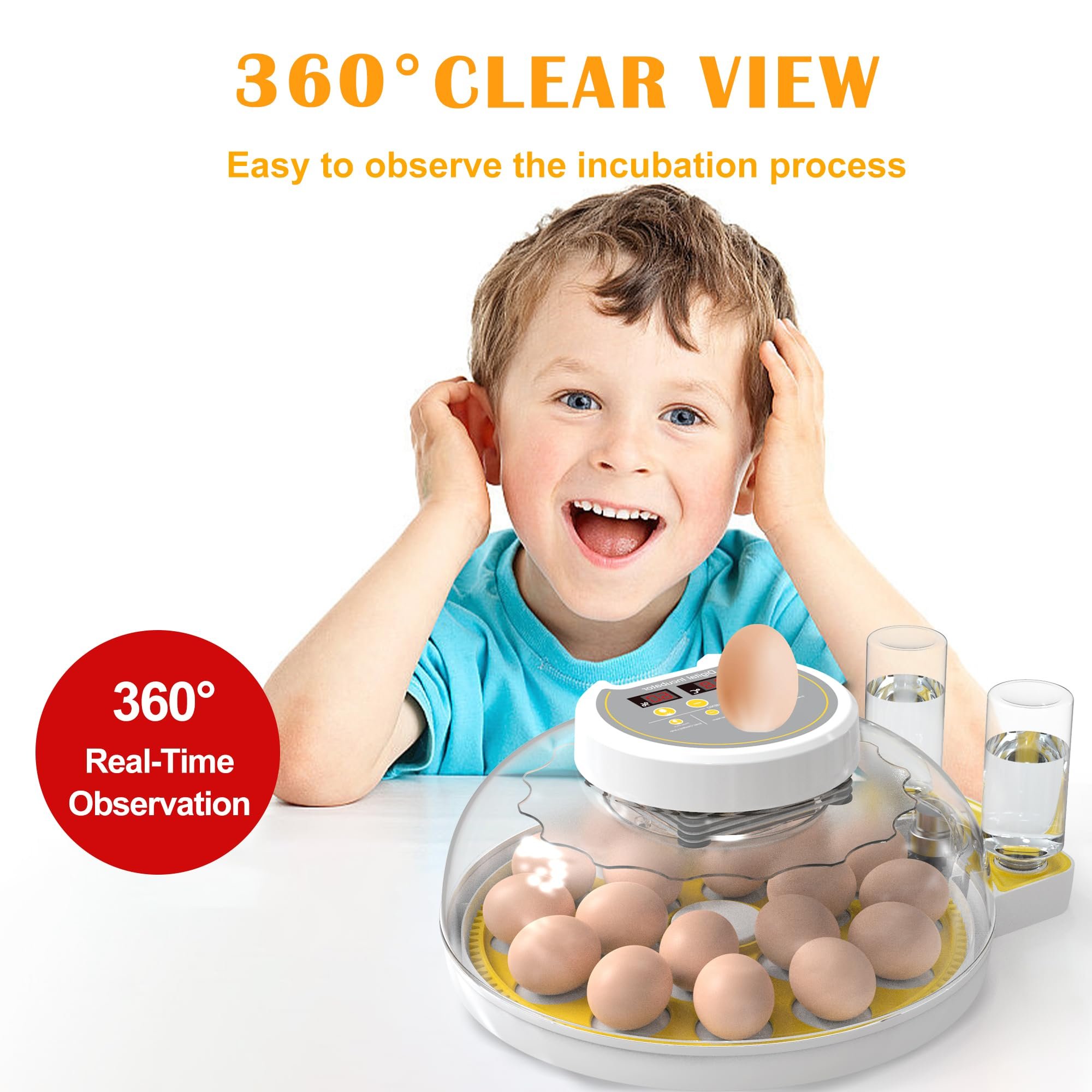 Egg Incubator