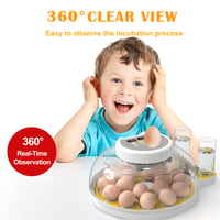 Egg Incubator