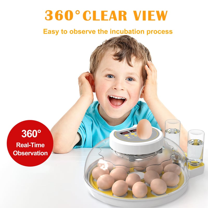 Egg Incubator