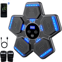 Fitness Boxing Training Machine