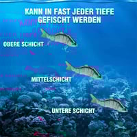 Bionic Schwimmköder-Set ( 5STK )