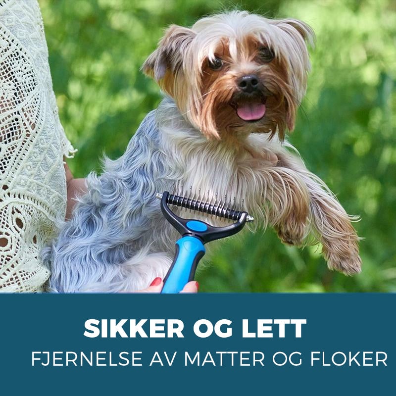 2_4fd81166-8c3a-4780-b003-03fa5428f1a6