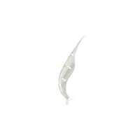 Gereedschap voor het pellen van garnalen