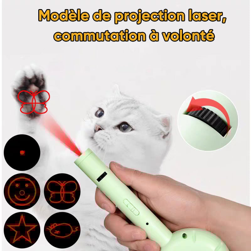 Peigne multifonctions pour animaux de compagnie